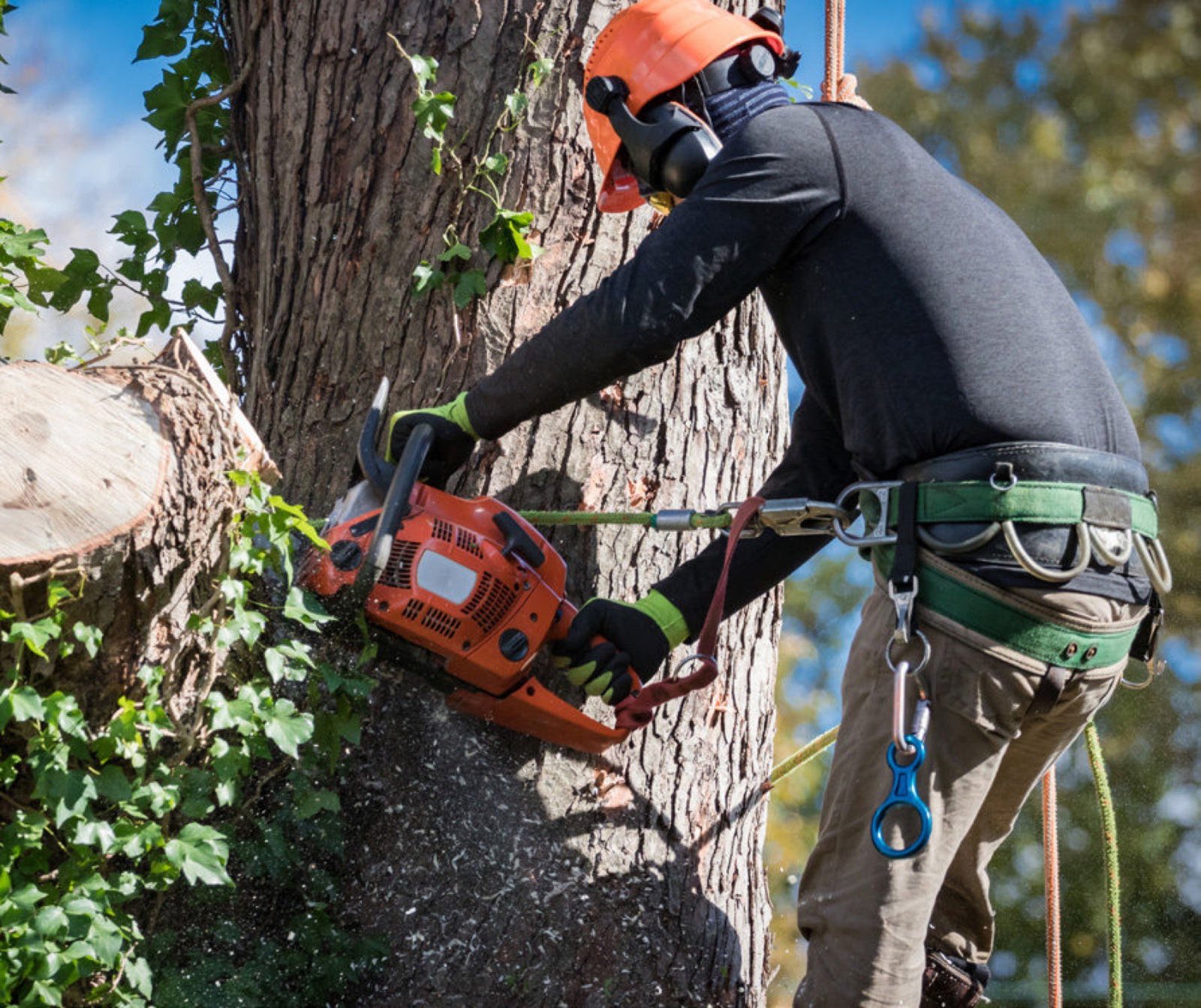 Boomverzorger van De Boom Topper aan het werk in een boom
